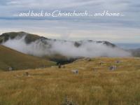 Albums/20060200-New Zealand 2006/20060318-Kaikiura/89